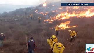 Reportan controlado al 100% incendio forestal en Tecate