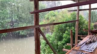 คลิป ฝนตกไม่ทั่วฟ้า เตรียมงานบวช นิรวิทย์ เคลียร์  บ้านดงป่าคำ ต.ดงกลาง เมืองพิจิตร #เฉลาโฟโต้