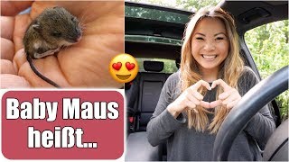 Baby Maus bekommt einen Namen ? XXL dm Haul | Justus der MacGyver | Familienleben VLOG | Mamiseelen