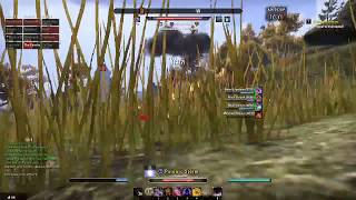 ESO Morrowind. Heavy Armor  Magicka Nightblade PVP. part 1