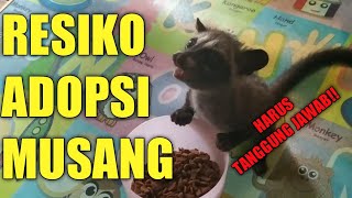 RESIKO ADOPSI MUSANG?? HARUS TANGGUNG JAWAB JUGA!!!