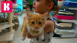 VLOG Кошечка Мурка с Катей в салоне красоты, грюминг, подарки от магазина для животных