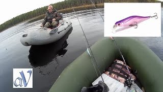 Кайджу Рисо ловит когда другие молчат#К.К. сказал правду#Китайский Рисо