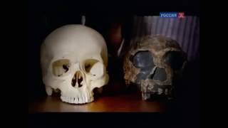 BBC Планета первобытных людей: Человек прямоходящий против челов / 1 серия