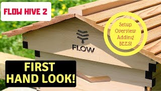 Flow Hive 2 Overview and Bee Transfer