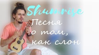 Shumrise (Андрей Шамрай) - Песня о том, как слон (под укулеле)