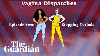 Vagina Dispatches #2 | Stopping periods