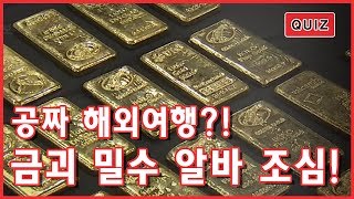 여행 경비 무료인 알바가 있다? 알고보니 위험천만한 금괴 밀수 알바!!  / YTN KOREAN