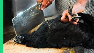 SHOCKING INDIAN FOOD!!! Did NOT Expect to See This in India!