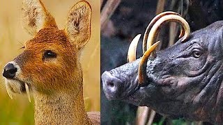 СЕКРЕТНЫЕ ОПЫТЫ С ДНК! ЧТО ОТ НАС СКРЫВАЮТ?
