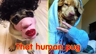 Funny Photos and Memes That Will Give You The Best Laugh Of The Day