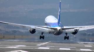 Crosswind Landings of 21 Airplanes at OSAKA Airport