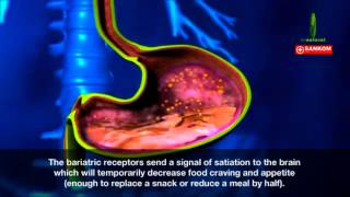 How SANKOM® Swiss Diet Kit™ Works