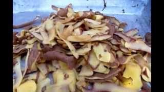 Как приготовить компост зимой? Куда девать отходы на кухне?