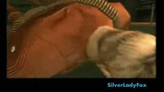Metal Gear Funnies (It's funny... Watch It.)