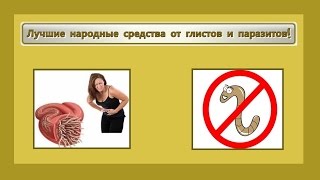 Лучшие народные средства от глистов и паразитов!