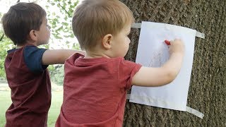 Tree Bark Rubbing - Outdoor Activities #1