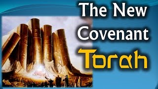 The New Covenant Torah - Nader Mansour (TN)