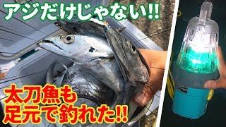 【うみかぜ公園】集魚灯を使うとアジとタチウオが足元で釣れた！