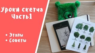 Уроки СКЕТЧа ЧАСТЬ 1 // как рисовать деревья