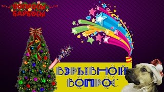 Как приучить собаку к петардам, выстрелам, салютам