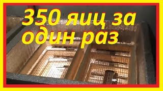 Инкубатор на 350 яиц своими руками