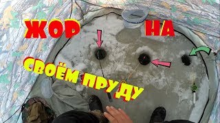 Рыбалка на СОБСТВЕННОМ ПРУДУ с КОМФОРТОМ | Карась как из пулемёта !!!