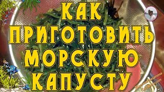 КАК ПРИГОТОВИТЬ МОРСКУЮ КАПУСТУ. ВИДЕО РЕЦЕПТ  от Petr de Cril'on ПРО МОРСКУЮ КАПУСТУ