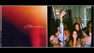 “New Señorita” - Dua Lipa, Shawn Mendes, Camila Cabello (Mashup)