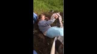 Подруга дней моих суровых, голубка милая моя!:)