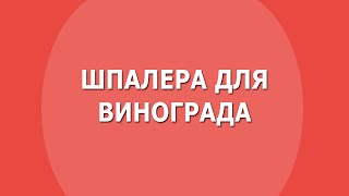 Шпалера для винограда