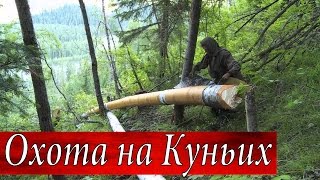 Самоловная Охота на Соболя.  Сезон Охоты