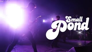 And So I Watch You From Afar - D is for Django the Bastard Live at Arctangent (Small Pond)