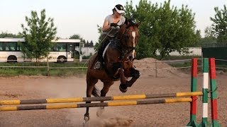 Конкур, ошибки прыжков на лошади или что говорят девушки, когда они в седле