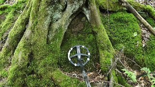 The Great Return - Another Fantastic Metal Detecting Day