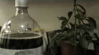 Hilarious Diet Coke Mentos Prank On Boyfriend