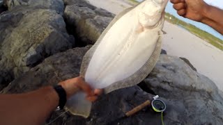 Inlet Fluke Fly Fishing TOO MUCH SEAWEED on the Beach this Week
