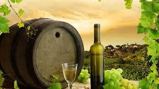 Как делают вино в Грузии #2 / How to make wine in Georgia #2