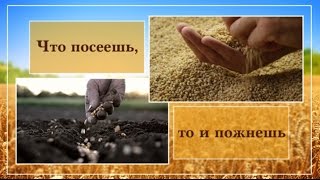 Проповедь  «Что посеешь, то и пожнёшь» — Андрей П. Чумакин
