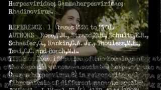 Anna Slezakova performs "03.danir.vori://mutuation.number.three" by Jovan Pesec