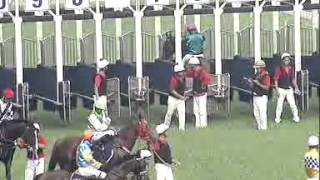 2012年7月21日(六) 澳門賽馬直播足本重溫 (第1-4場)