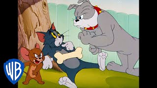 Tom y Jerry en Español | Dibujos Clásicos 34