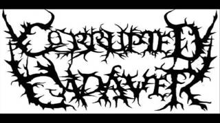 Corrupted Cadaver - Apocalypse