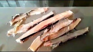 Филетировочная машина для путассу от РостПищМаш