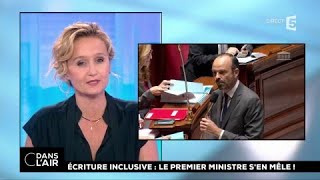 Ecriture inclusive : le 1er ministre s’en mêle ! #cdanslair 22.11.2017