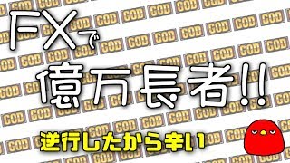 【FX】ドル円の下落についていけず。毎日まっとん第1366回【FXで億万長者】