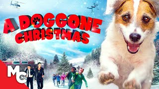 A Doggone Christmas | 2016 Family Christmas Movie
