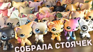 LPS: СОБРАЛА ВСЕХ СТОЯЧЕК/ Показываю коллекцию