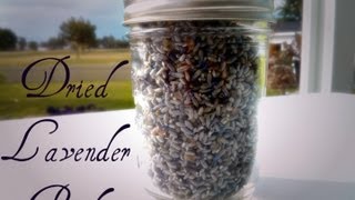 Saving Dried Lavender