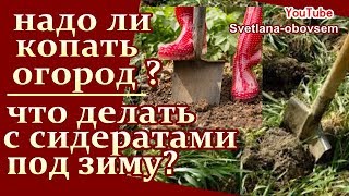 НАДО ЛИ КОПАТЬ ОГОРОД ОСЕНЬЮ? ЧТО ДЕЛАТЬ С СИДЕРАТАМИ ПОД ЗИМУ? ОЧИСТКИ КАРТОФЕЛЯ , КАПУСТЫ В ОГОРОД